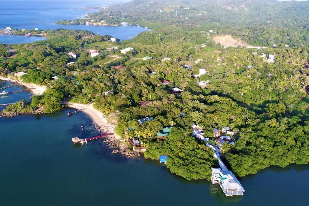 The Dock Resort Over Water Retreat West End Exterior foto